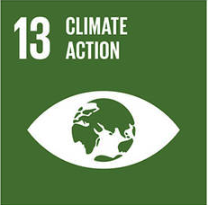 SDG13